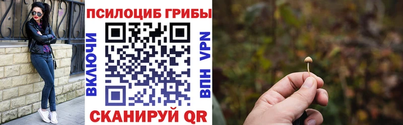 Псилоцибиновые грибы GOLDEN TEACHER  Купить  Великие Луки 